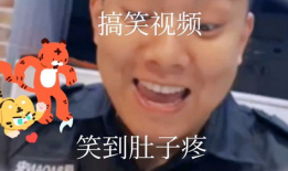 搞笑的视频,让你笑到肚子疼