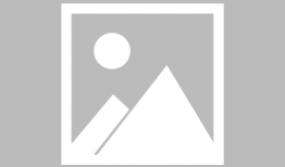 flash动漫,探索Flash动漫的魅力世界